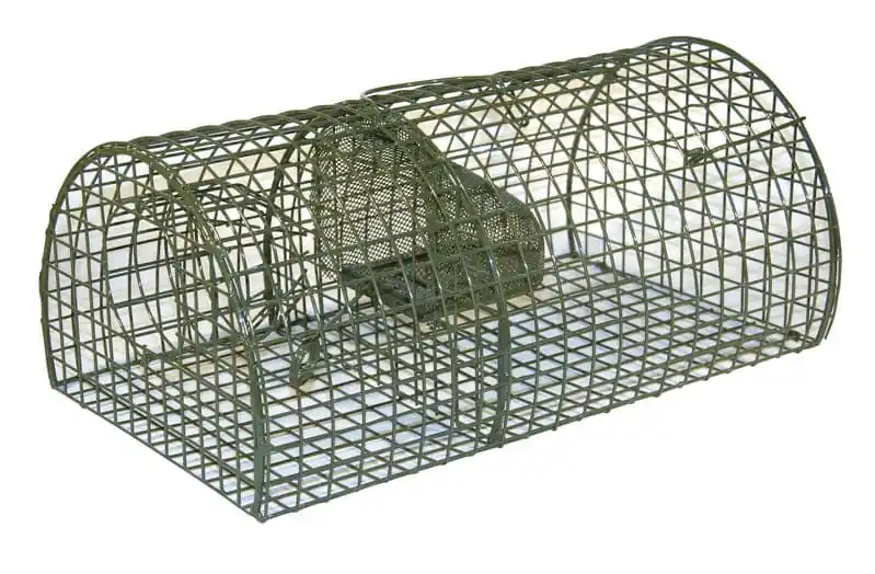 Sonderaktion Ratten-Massenfänger Lebendfalle MultiRat - Falltür